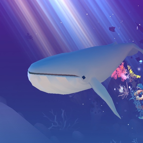 Meet your Posher, Faith - Picture 1 of 1